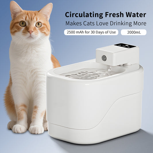 Intelligent Sensor Pet Drinking Fountain 2000ML Large Capacity, USB Charging Wireless Water Feeder, Ultra Quiet Anti-Dry Burn Water Dispenser With Filter For Pets